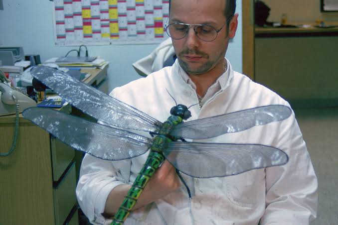 Study Challenges Popular Theory on Why Primordial Bugs Were So Darn Huge