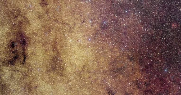 Galactic bulge from Euclid