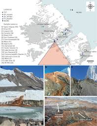 Molecular evidence for a relict marine community in an Antarctic Dry Valleys subglacial brine-fed system