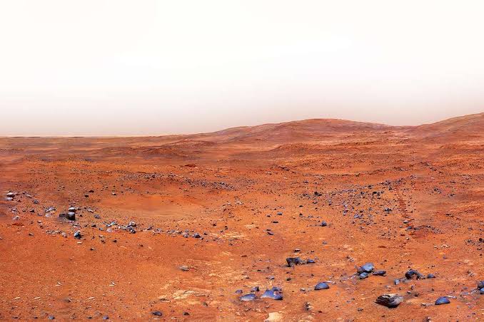 Viking lander's 1976 Mars soil test may have found life after all