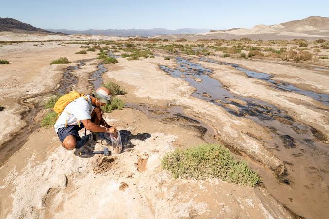 Threads of Earth’s Underground Fungal Networks Are Long Enough to Reach Beyond the Solar System
