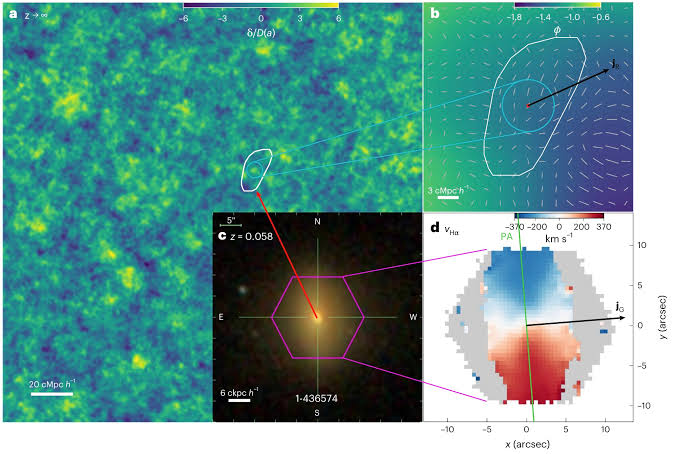 Galactic spins carry fingerprints of the primordial universe