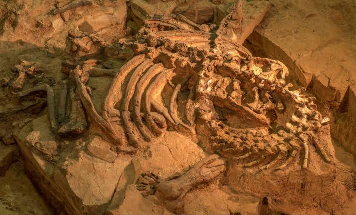 Scientists Dig Up A 90-foot Giant Dinosaur In Thailand That Could Crush Four Elephants