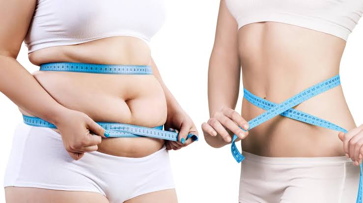 Scientists discover a protein switch that burns fat and blocks new fat cells