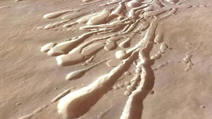 Scientists want to send a roly-poly robot filled with 'dandelion drones' to investigate hidden tunnels on Mars