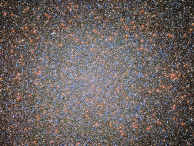 NASA’s Hubble reveals a black hole hiding inside a massive star cluster in the Milky Way