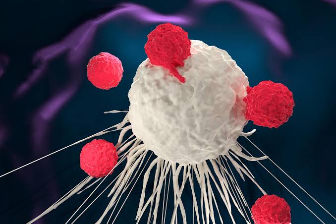UCLA Scientists Uncover a “Hidden Weakness” in Some of the World’s Deadliest Cancers