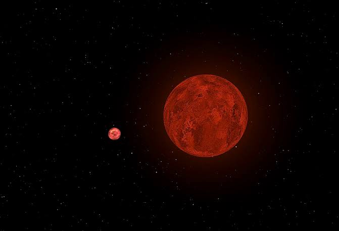 Could exoplanets locked in eternal day and endless night support life?
