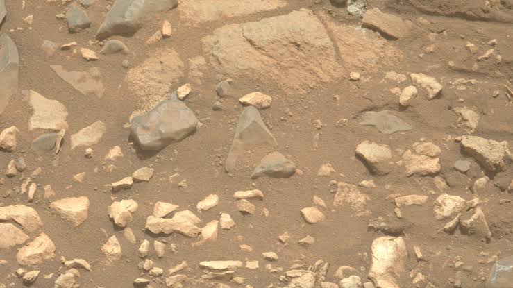 Mars dust is toxic. How will future astronauts deal with it?