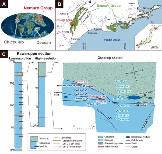 The Chicxulub impact signature in East Asia - Communications Earth & Environment