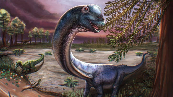 Giant with a very long neck. Scientists uncover new dinosaur species