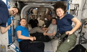 NASA Astronauts Study Cancer and Cartilage Research on ISS