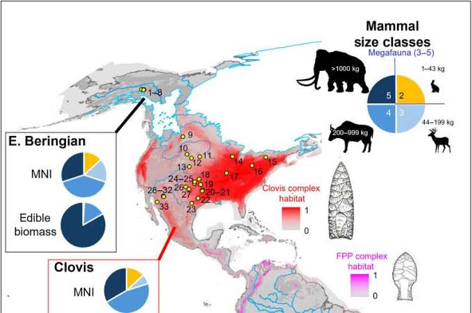 Earliest Americans specialized in megafauna hunting from Alaska to South America, analysis of 50 sites reveals