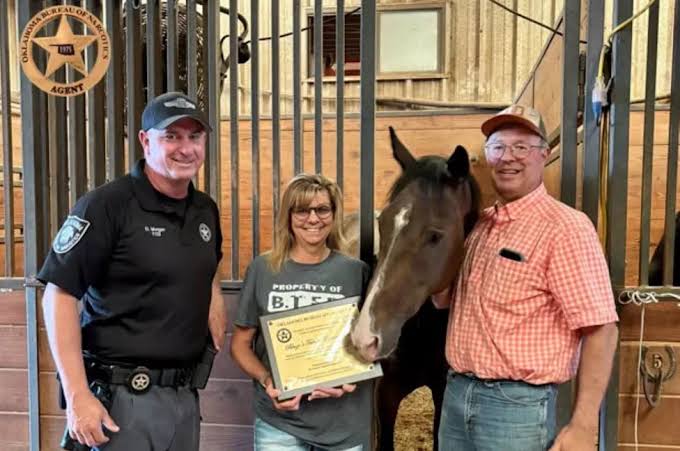 Oklahoma rescue takes in 6 horses agents say were used to disguise 353 pounds of cocaine
