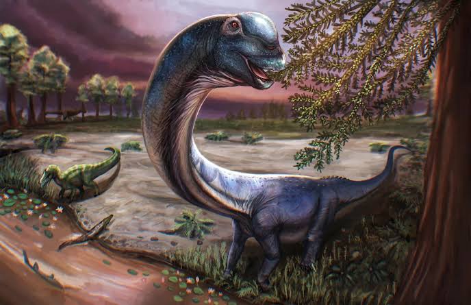 New dinosaur weighing as much as 9 elephants identified by scientists