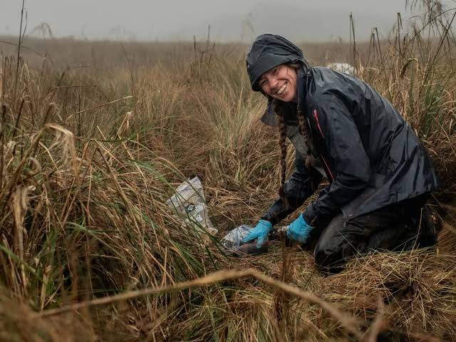 Fungi Expert Is on a Mission to Protect Global Natural Underground Networks