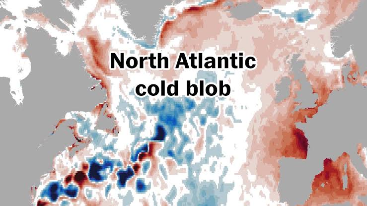 Oceans are warming, but scientists are concerned about this cold blob
