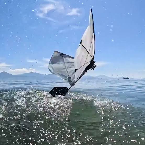New Winged Robot Can Fly and Swim Like a Puffin
