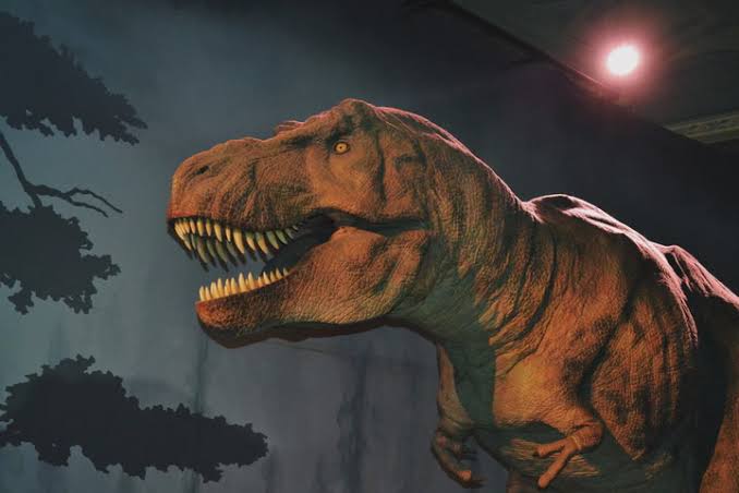 New study explains why T rex had such tiny arms: ‘The head took over’