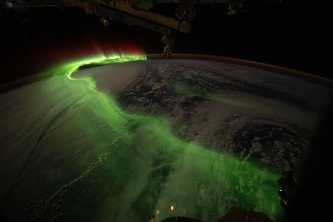 Botany and Biology Research Wrap Up Week as Dragon Preps for Earth Return