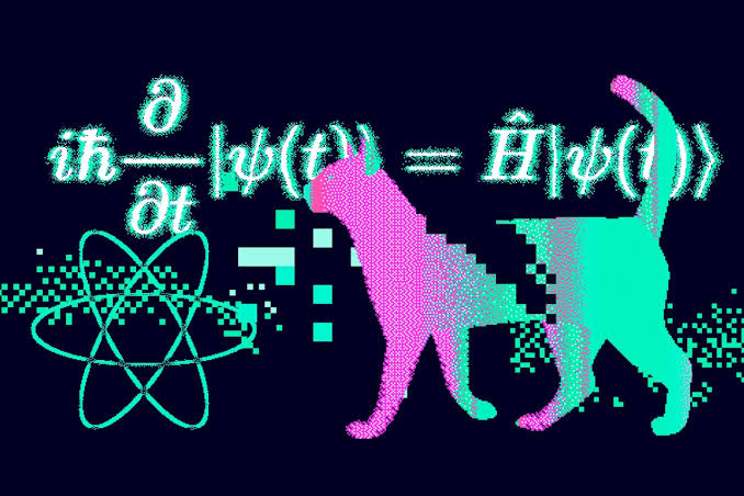 Physicists Created an Entirely New Species of Schrödinger’s Cat