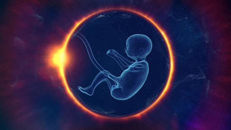 Can humans reproduce in space? China sends artificial embryos into orbit to find out