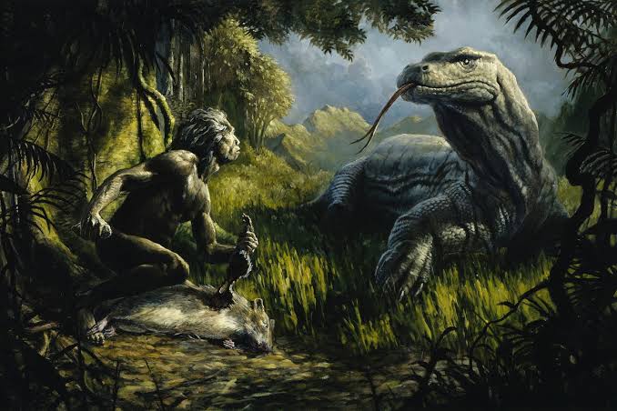 Our ancient ‘hobbit’ cousins ate dragon leftovers