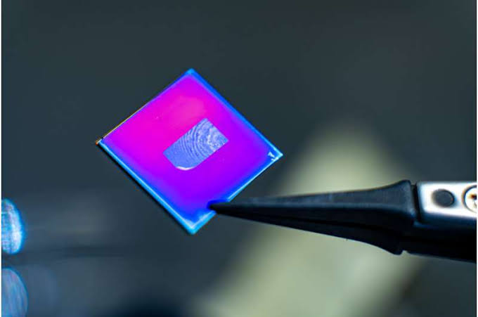 Chiral carbon nanotube films deliver giant light-conversion effect