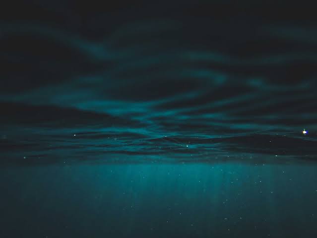 Six miles below the Pacific, with no sunlight and no photosynthesis, a Chinese submersible found thousands of blood-red tubeworms and white clams thriving on leaking methane — the deepest animal ecosystem ever discovered on Earth