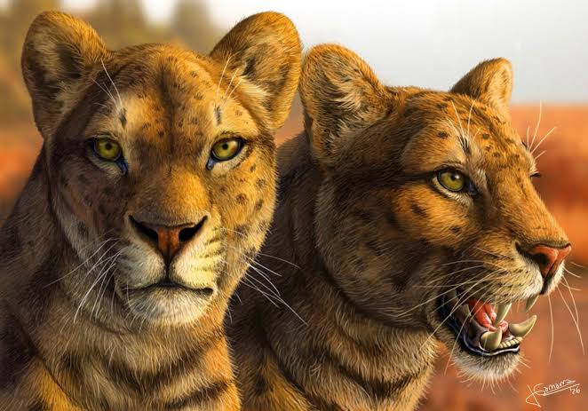 Early Saber-Toothed Cat Gets New Face after Decades of Mystery