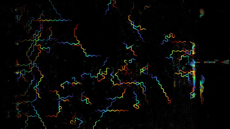 Bringing it all into focus—computational microscope captures 25.2 billion pixels per second across a wide field of view