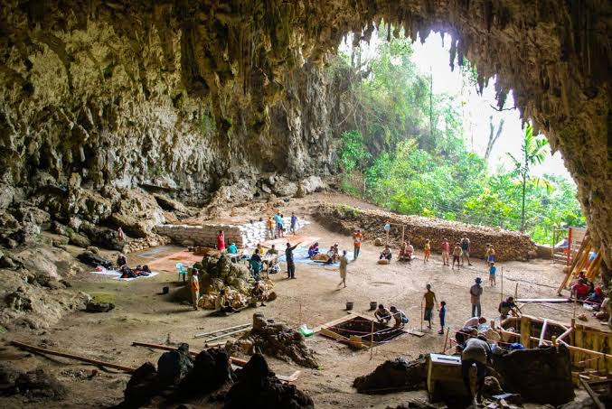 Hobbit-like human relatives may have been on a less advanced evolutionary path