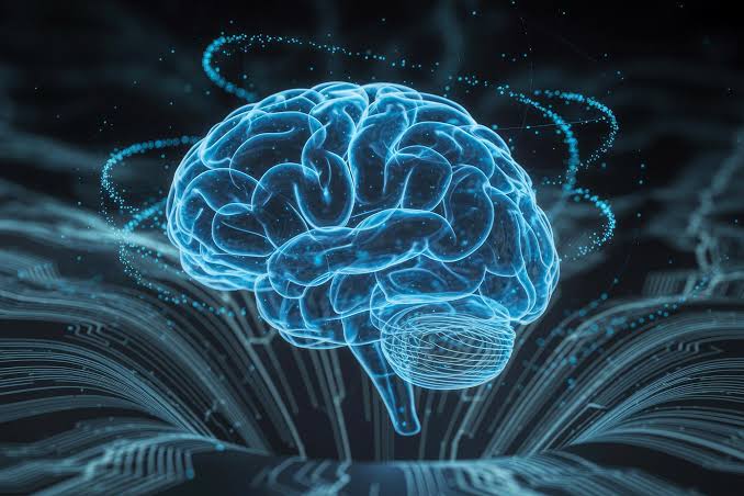 Scientists Translated Brain Signals Into Movies With Surprising Accuracy