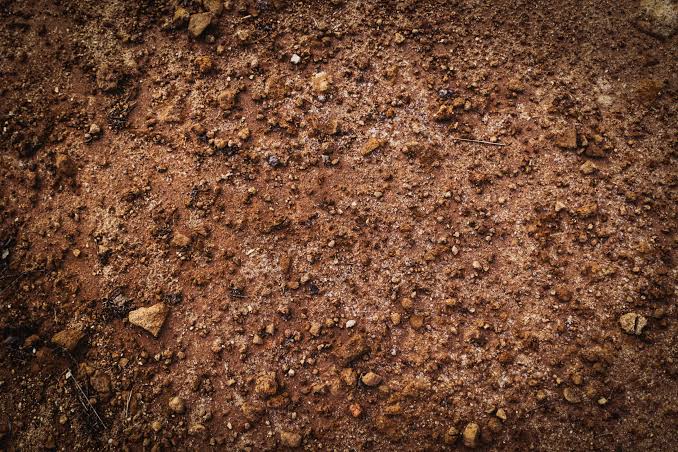Scientists sterilized soil. It kept breathing for six years.