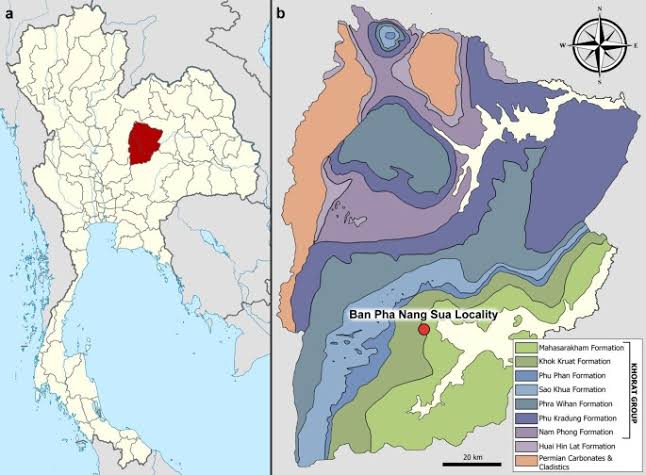 The first sauropod dinosaur from the Lower Cretaceous Khok Kruat Formation of Thailand enriches the diversity of somphospondylan titanosauriforms in southeast Asia | Scientific Reports