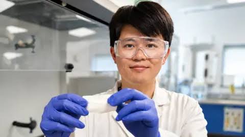 How a plant-based wound dressing could fight infections