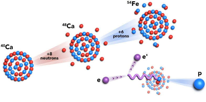 Quantum shell structure reveals new rule for proton-neutron pairing inside nuclei