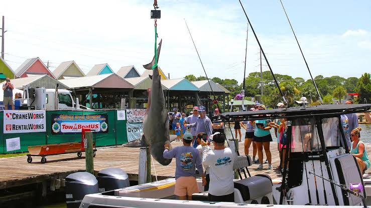 This shark lives in both Mobile Bay and the Gulf, but beachgoers don’t need to fear