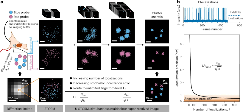 New microscopy method achieves angstrom-scale localization precision with one laser