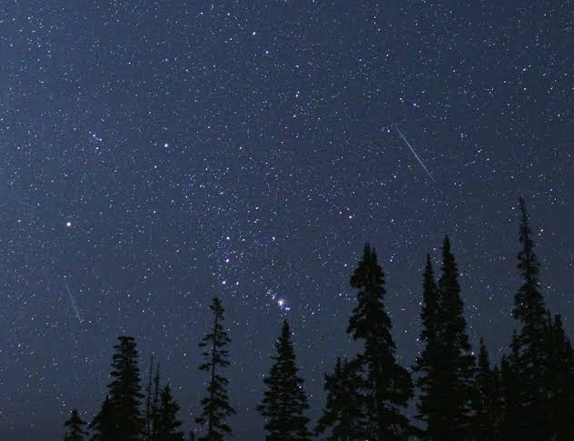 Summer Star Shower: Watch the Perseids with NASA!