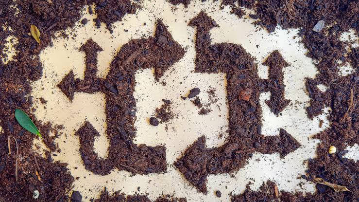 The Dirt That Refused To Die