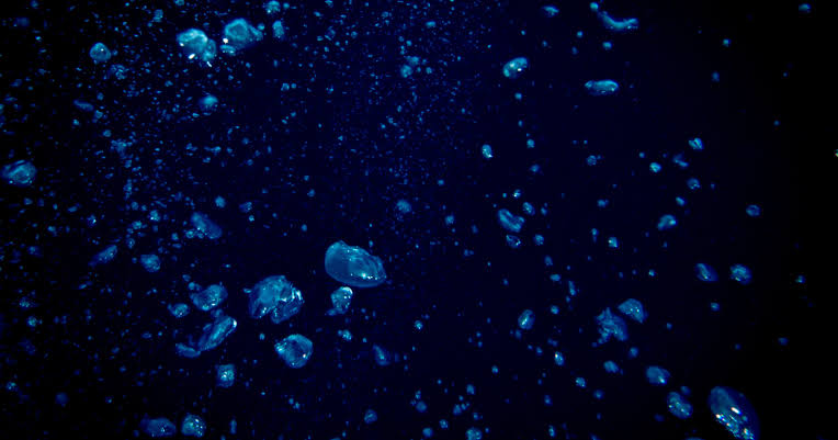 Only 0.001 percent of the deep ocean floor has ever been seen by human eyes — an area roughly the size of Rhode Island — according to a May 2025 study in Science Advances, meaning more than 99.999 percent of the seafloor covering two-thirds of our pl