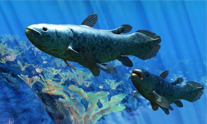 The Fish That Made Scientists Weep