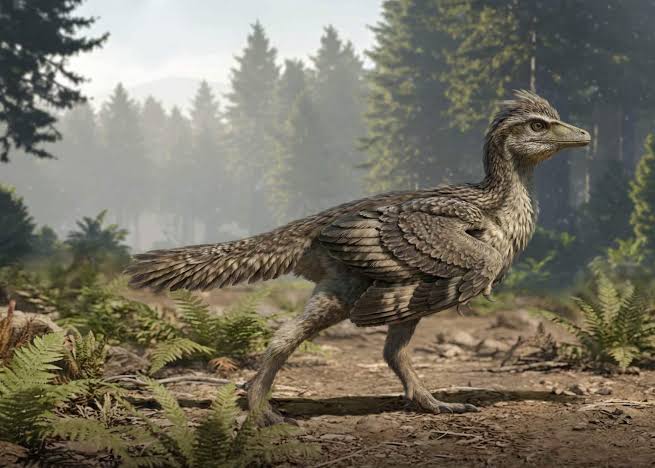 New Jurassic Fossil Reveals How Birds Lost Their Dinosaur Tails