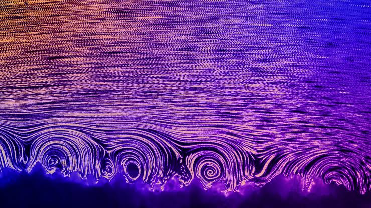 Corals Spin Tiny Vortices to Get Oxygen, but Not if It’s Too Hot