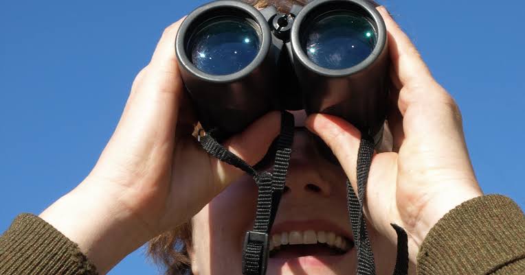 Experienced birdwatchers were found to have denser, more structurally complex brain tissue in regions linked to attention and perception, and when shown birds they had never seen before, those same regions activated most strongly