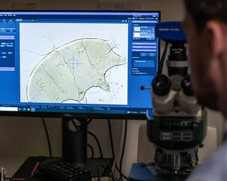 Hunting the tardigrade: one small step in sequencing DNA of all life on Earth