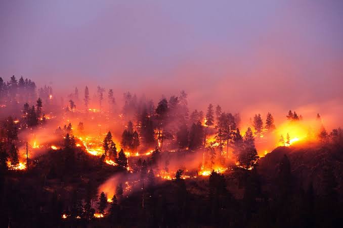 Global Warming Has Kicked Into Overdrive, Scientists Warn