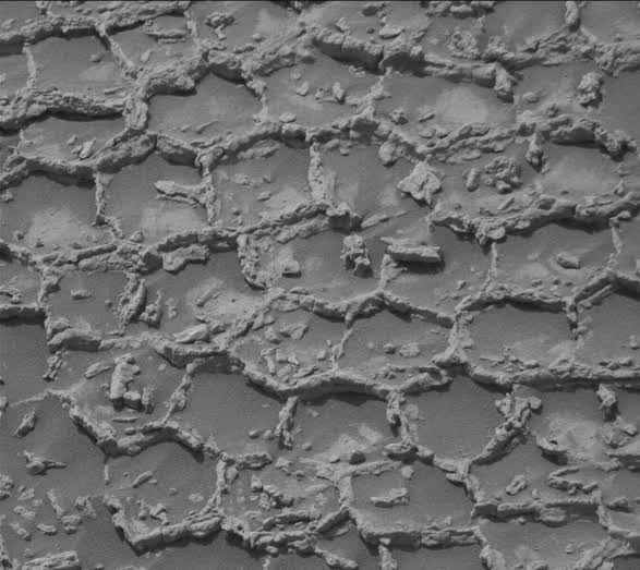 Curiosity discovers strange honeycomb structures on Mars