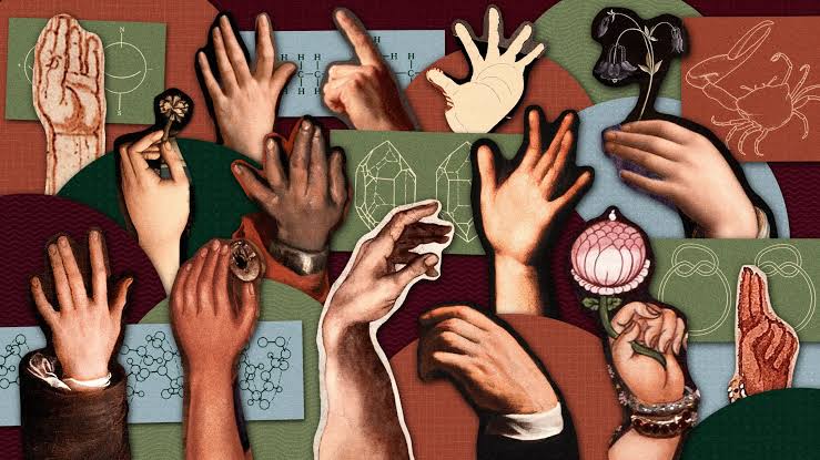Why Am I Left-Handed?
